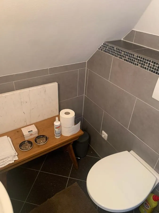 Bezaubernde Ferienwohnung Mit Rosengarten Waldershof 0*,  Almanya