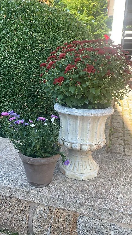 Bezaubernde Ferienwohnung Mit Rosengarten Waldershof Apartment